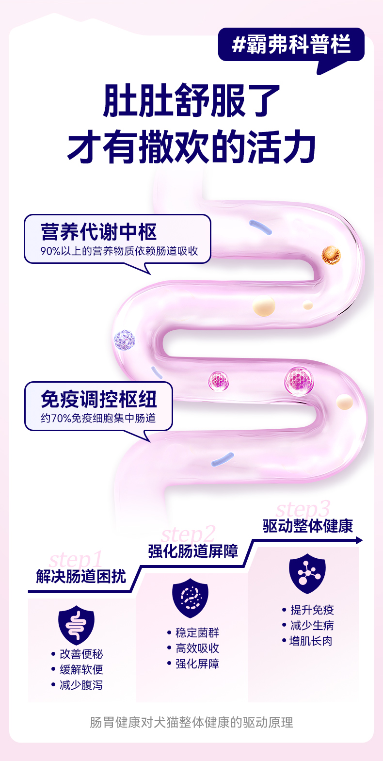 霸弗丛林食谱天然成犬粮