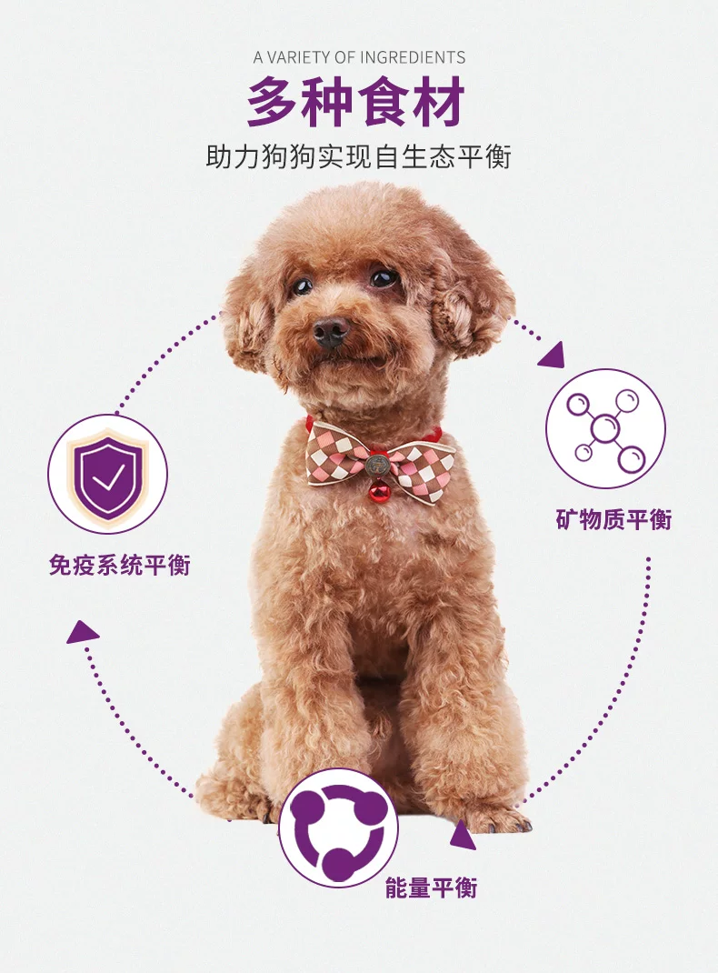 小型犬全犬期1.3kg