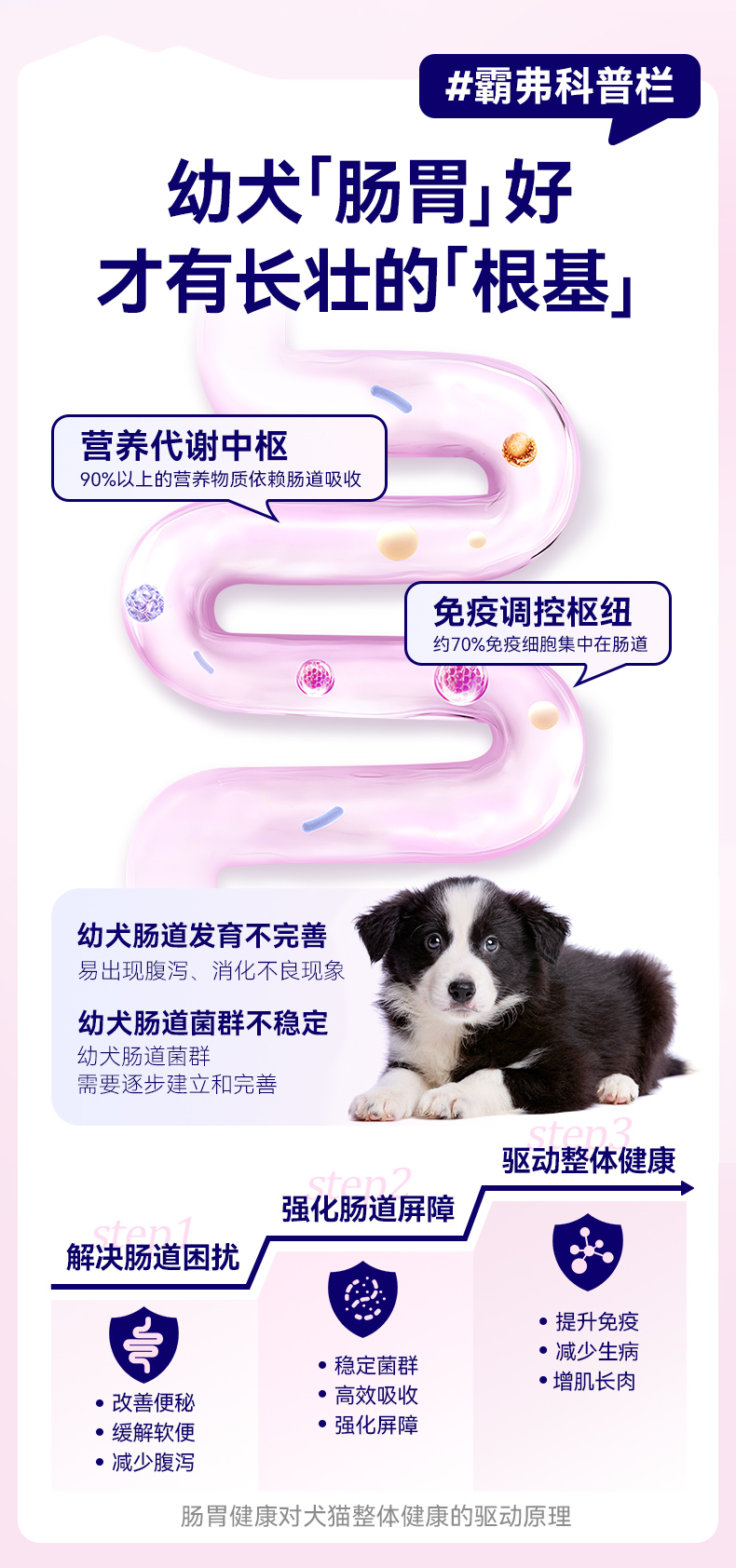 霸弗丛林食谱天然幼犬粮