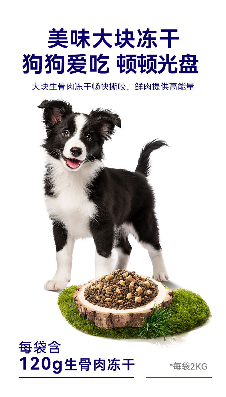 霸弗丛林食谱天然幼犬粮