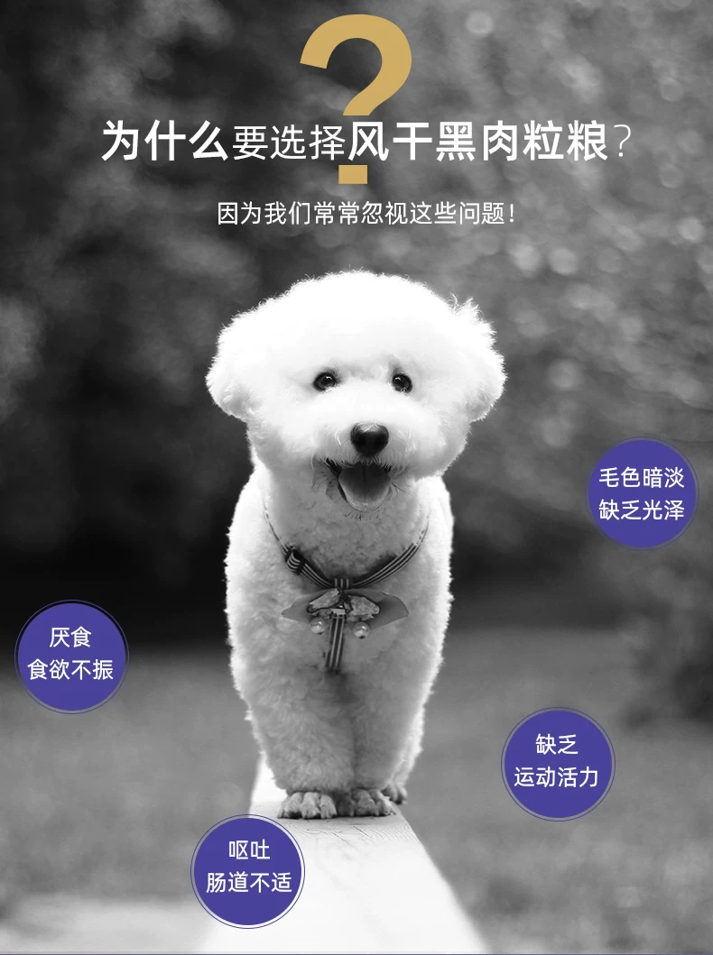 小型犬成犬2kg