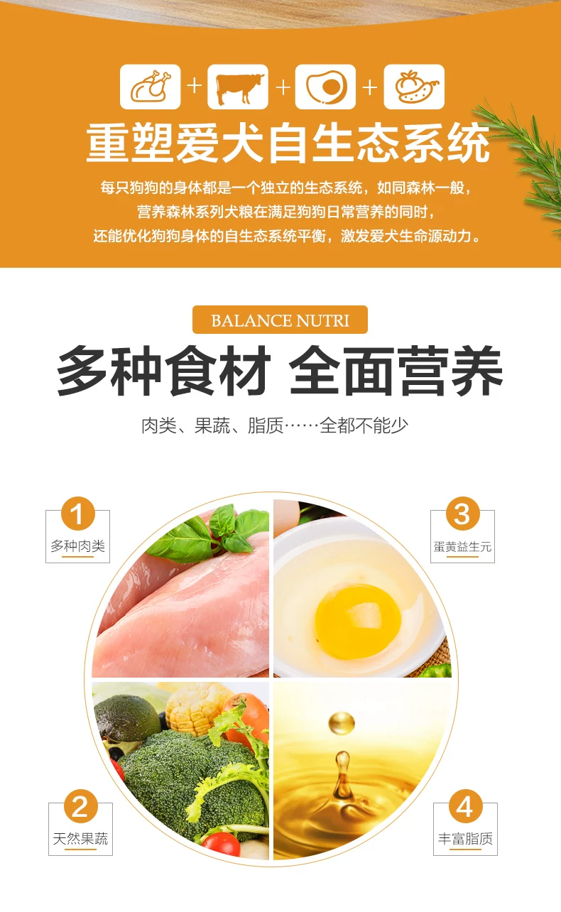 营养森林肉松系列