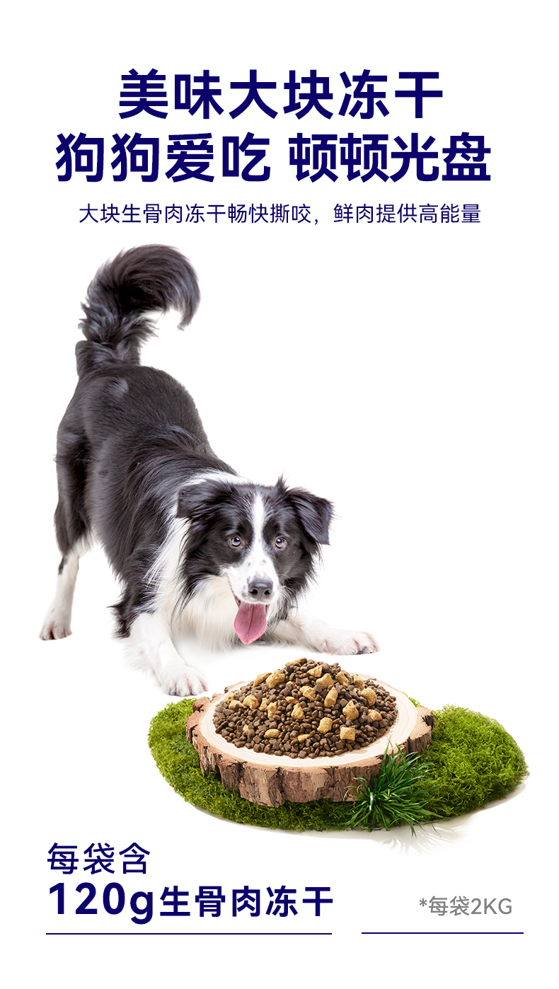 霸弗丛林食谱天然成犬粮