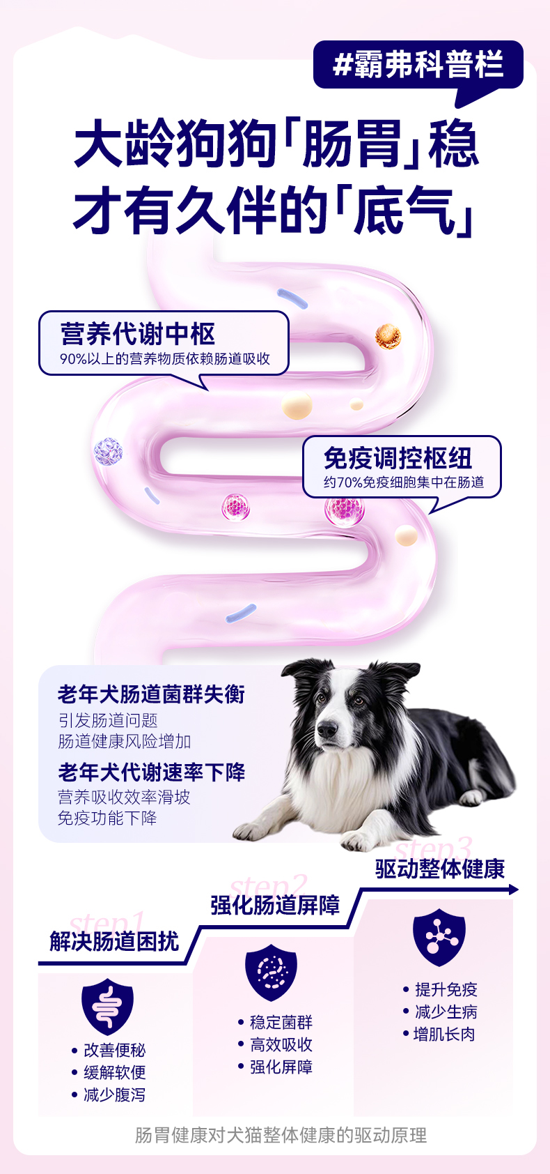 霸弗丛林食谱天然7+成犬粮