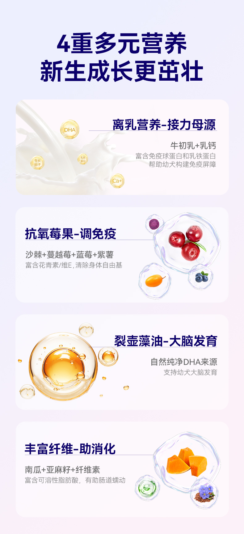 霸弗丛林食谱天然幼犬粮